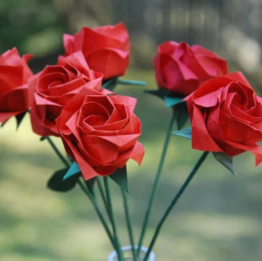 New Kawasaki Rose — Lisa Deng